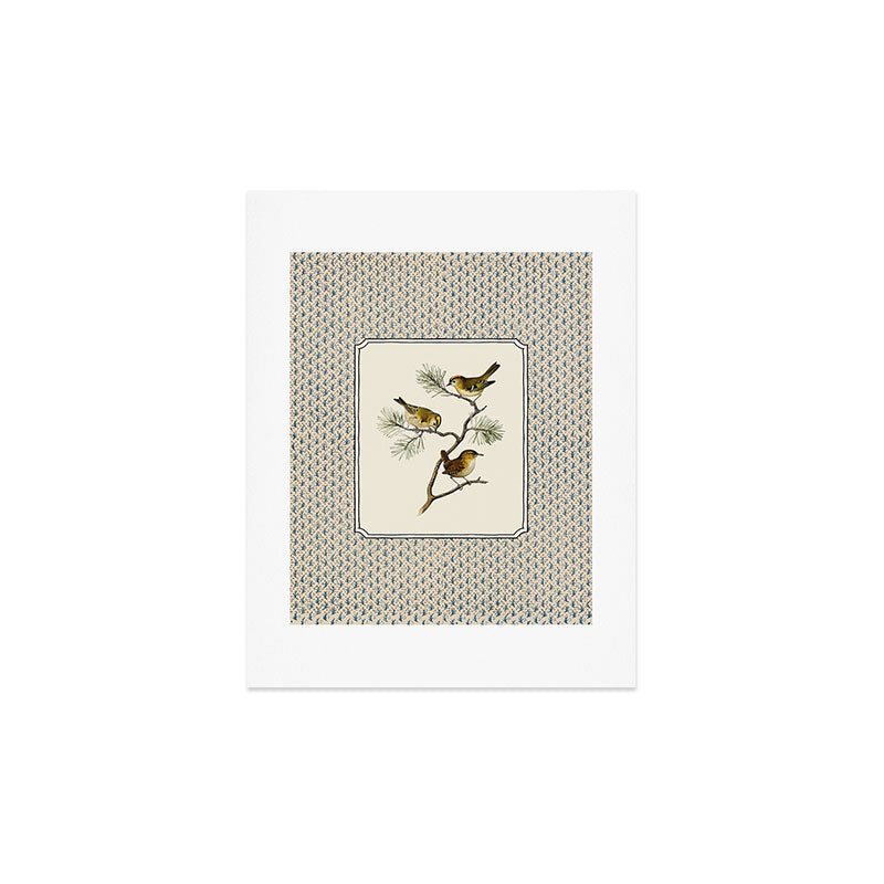 Three Wrens on a Branch Art Print Gallery Image 3