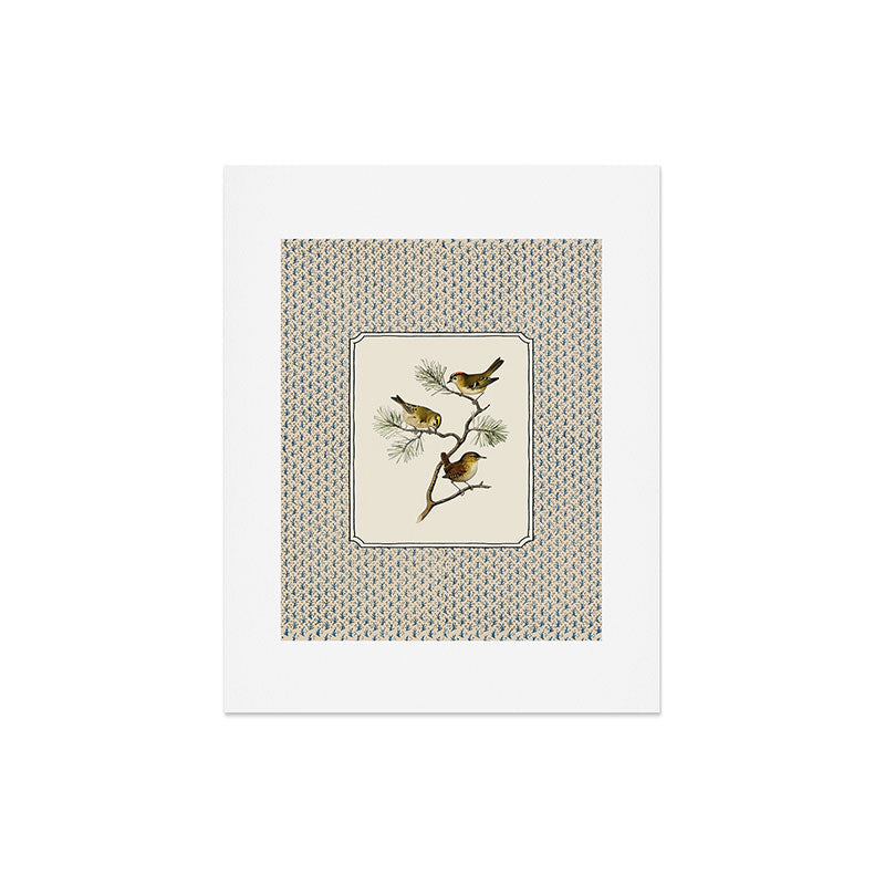 Three Wrens on a Branch Art Print Gallery Image 5