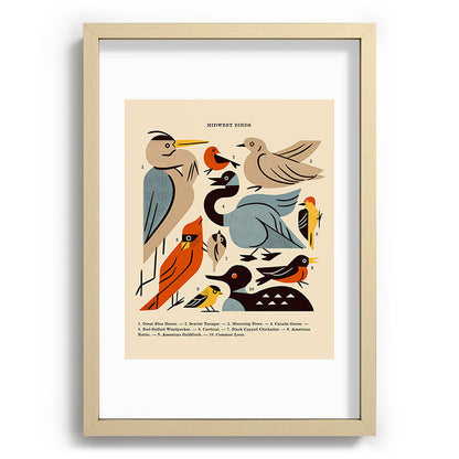 Midwest Birds Guide Framed Art Print Gallery Image 97
