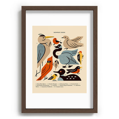 Midwest Birds Guide Framed Art Print Gallery Image 89