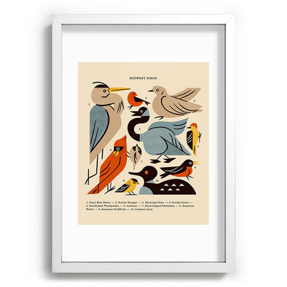 Midwest Birds Guide Framed Art Print Gallery Image 105