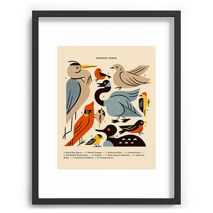 Midwest Birds Guide Framed Art Print Gallery Image 83
