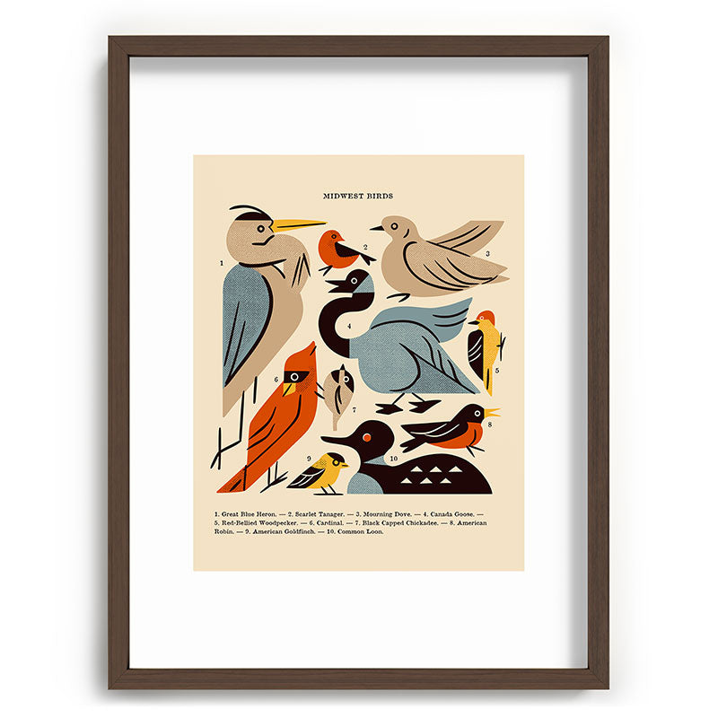 Midwest Birds Guide Framed Art Print Gallery Image 92