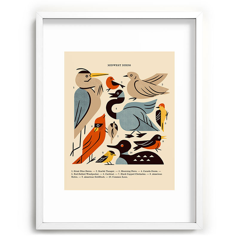Midwest Birds Guide Framed Art Print Gallery Image 108