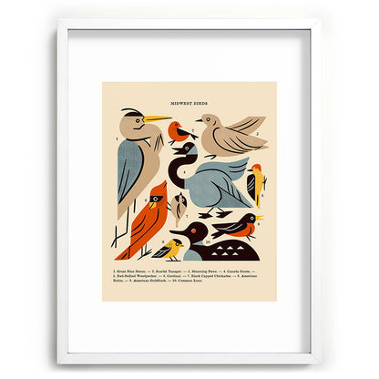 Midwest Birds Guide Framed Art Print Gallery Image 108