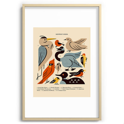 Midwest Birds Guide Framed Art Print Gallery Image 102