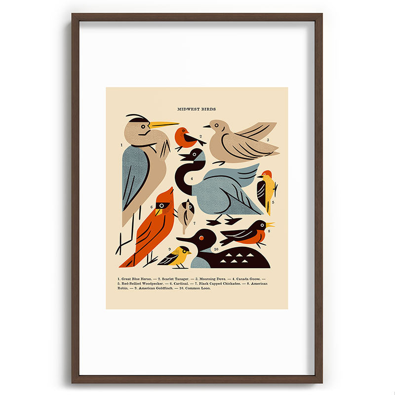 Midwest Birds Guide Framed Art Print Gallery Image 94