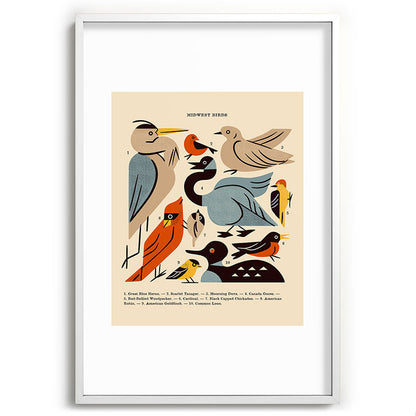 Midwest Birds Guide Framed Art Print Gallery Image 110