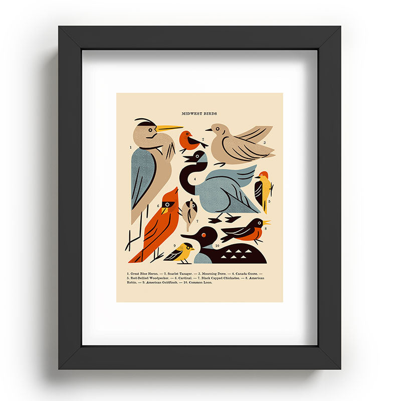 Midwest Birds Guide Framed Art Print Gallery Image 78