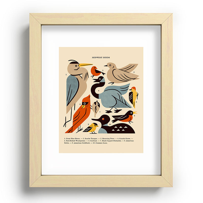 Midwest Birds Guide Framed Art Print Gallery Image 96