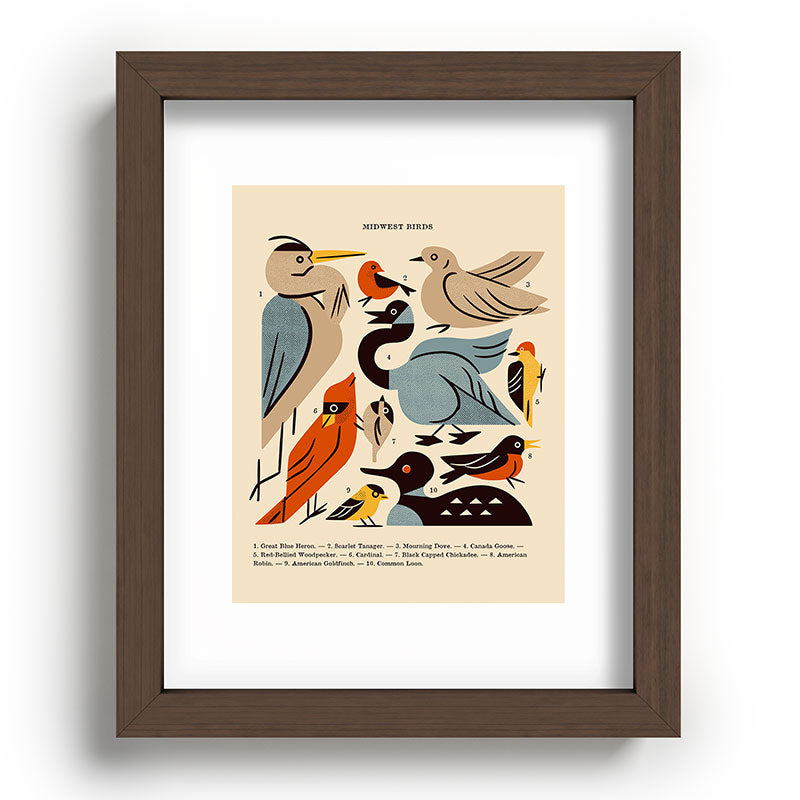 Midwest Birds Guide Framed Art Print Gallery Image 86