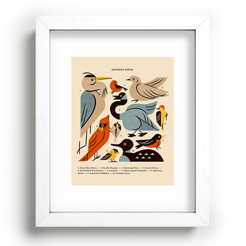 Midwest Birds Guide Framed Art Print Gallery Image 103