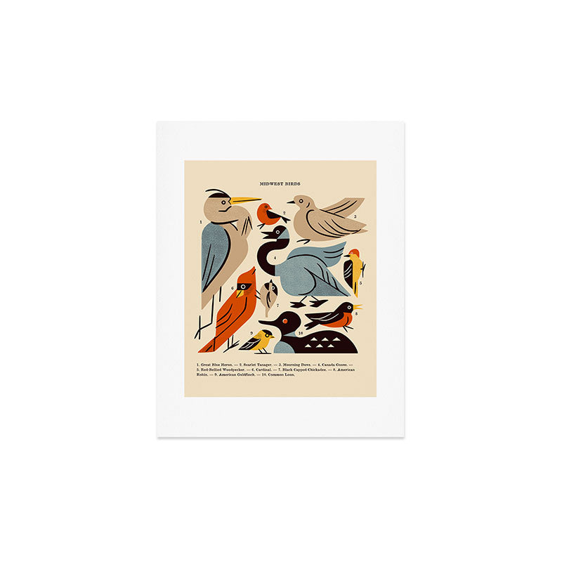 Midwest Birds Guide Art Print Gallery Image 3