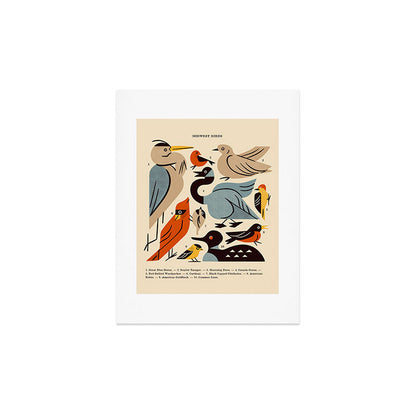 Midwest Birds Guide Art Print Gallery Image 3