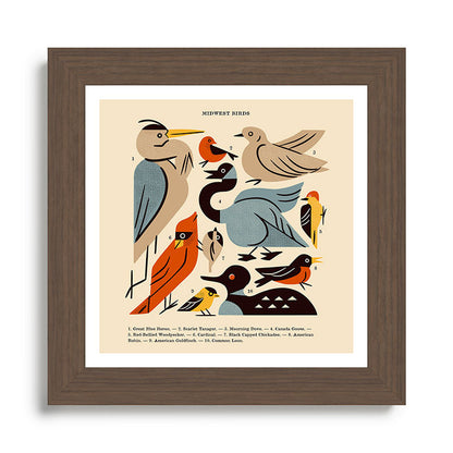 Midwest Birds Guide Framed Art Print Gallery Image 57