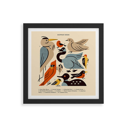 Midwest Birds Guide Framed Art Print Gallery Image 50
