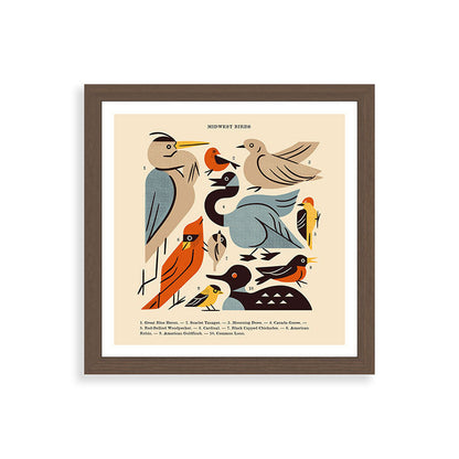 Midwest Birds Guide Framed Art Print Gallery Image 60
