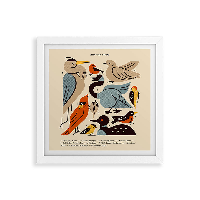 Midwest Birds Guide Framed Art Print Gallery Image 82