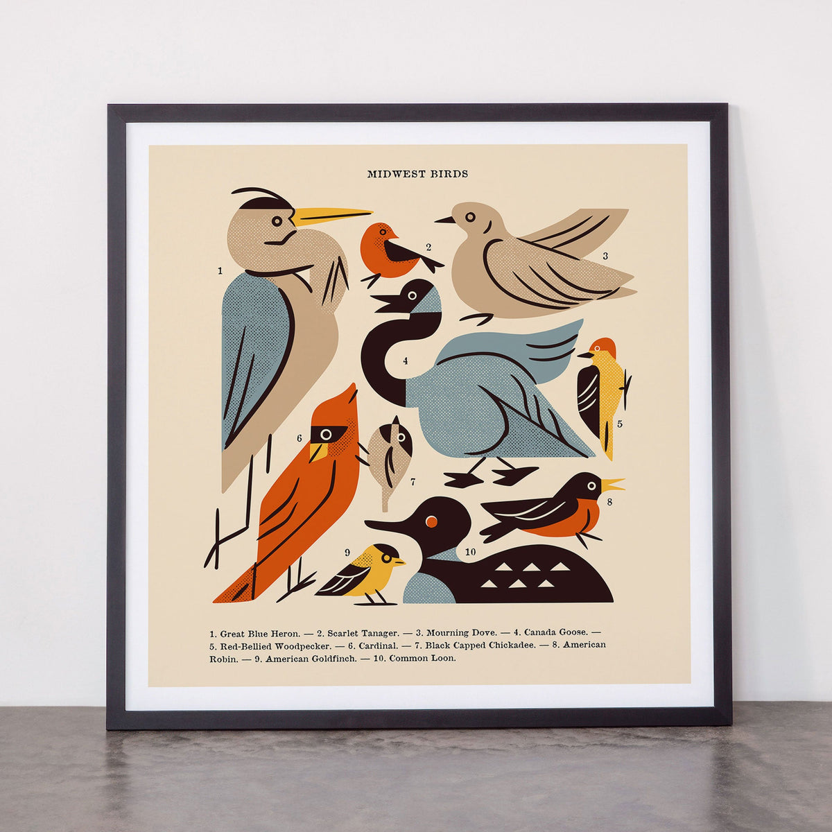 Midwest Birds Guide Framed Art Print Gallery Image 55