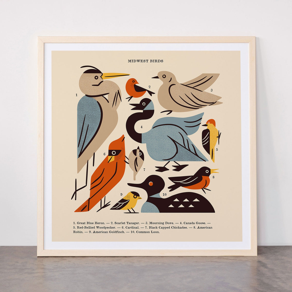 Midwest Birds Guide Framed Art Print Gallery Image 77