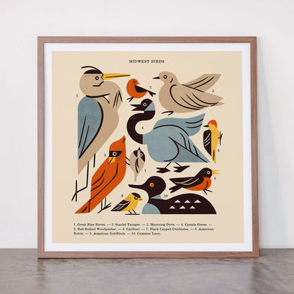 Midwest Birds Guide Framed Art Print Gallery Image 66