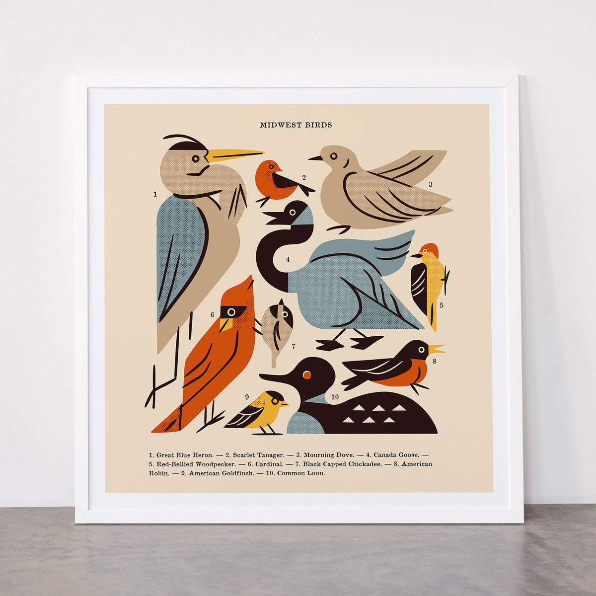 Midwest Birds Guide Framed Art Print Gallery Image 87