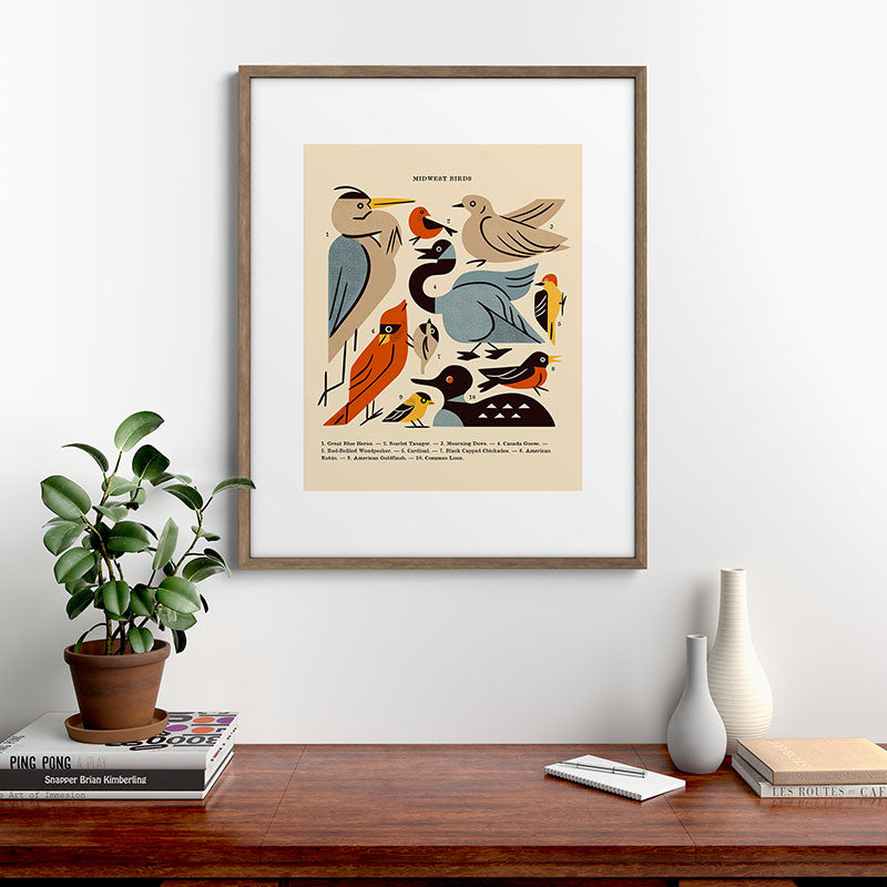 Midwest Birds Guide Framed Art Print Gallery Image 19