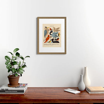 Midwest Birds Guide Framed Art Print Gallery Image 54