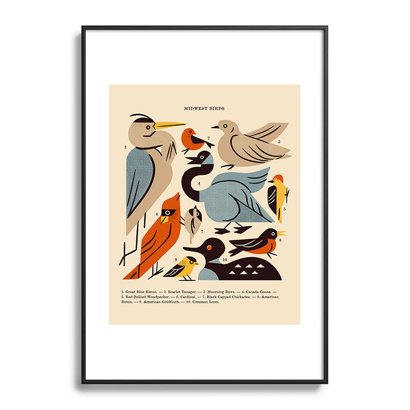 Midwest Birds Guide Framed Art Print Gallery Image 113