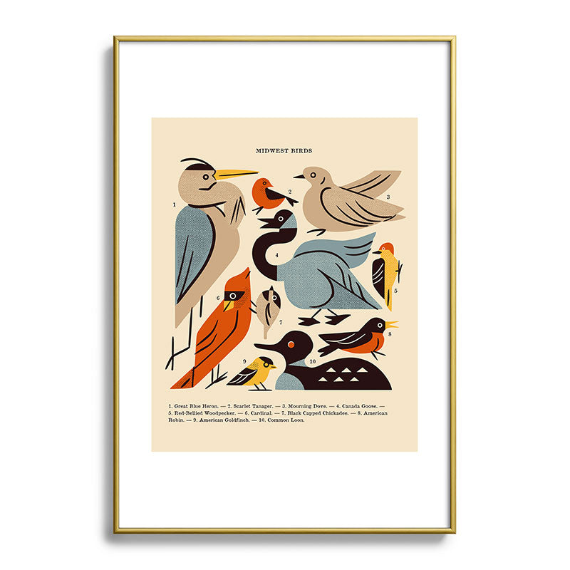 Midwest Birds Guide Framed Art Print Gallery Image 123