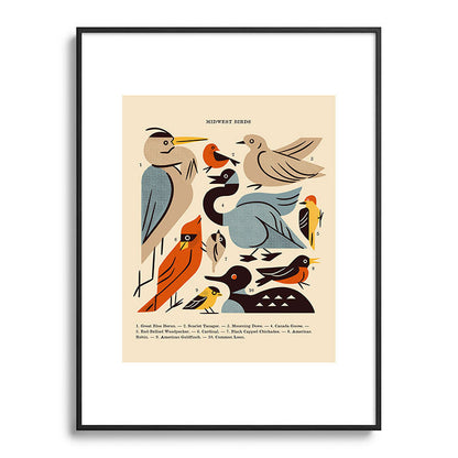 Midwest Birds Guide Framed Art Print Gallery Image 116