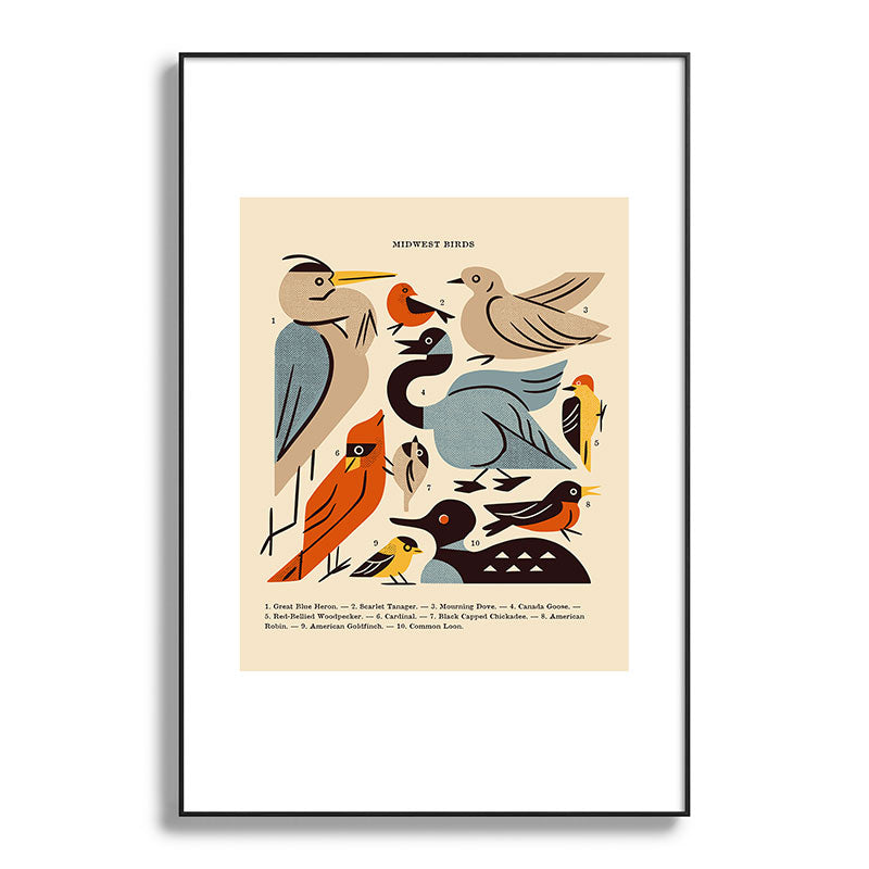 Midwest Birds Guide Framed Art Print Gallery Image 119