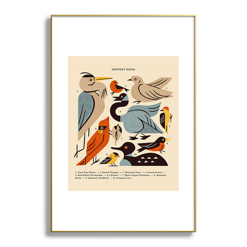 Midwest Birds Guide Framed Art Print Gallery Image 127