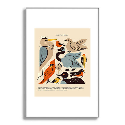 Midwest Birds Guide Framed Art Print Gallery Image 138