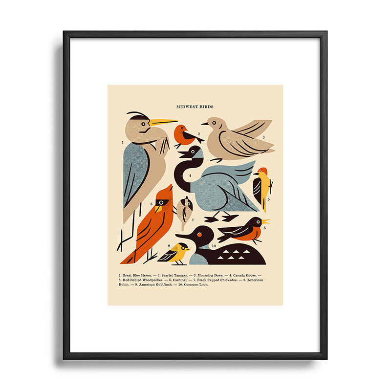 Midwest Birds Guide Framed Art Print Gallery Image 111