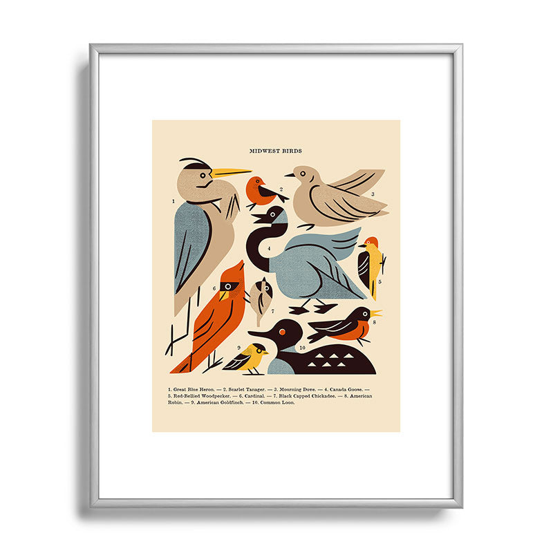 Midwest Birds Guide Framed Art Print Gallery Image 131