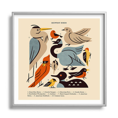 Midwest Birds Guide Framed Art Print Gallery Image 140