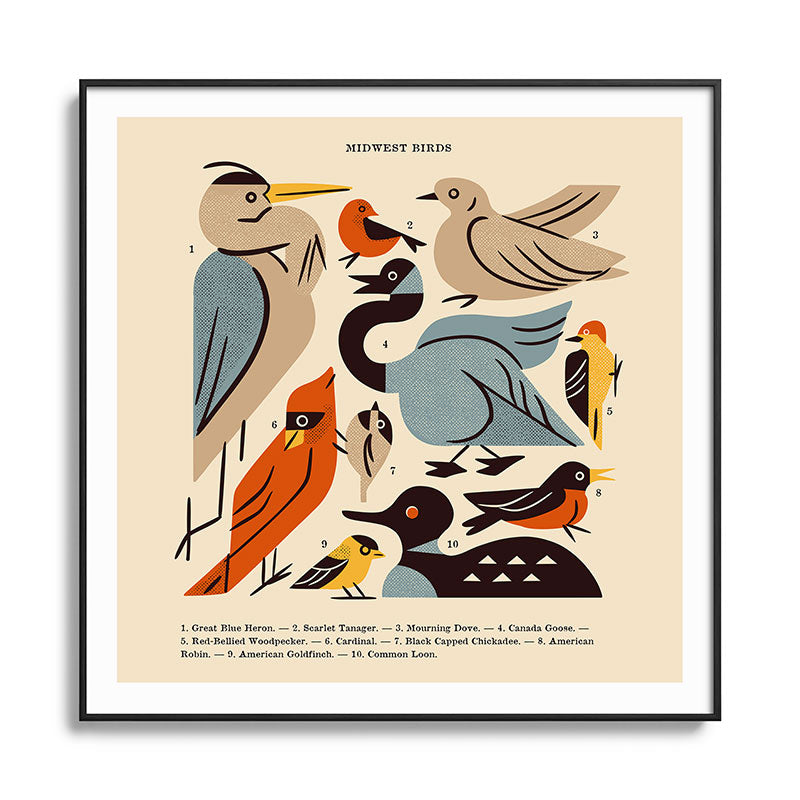 Midwest Birds Guide Framed Art Print Gallery Image 126