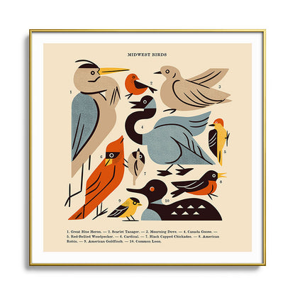 Midwest Birds Guide Framed Art Print Gallery Image 136