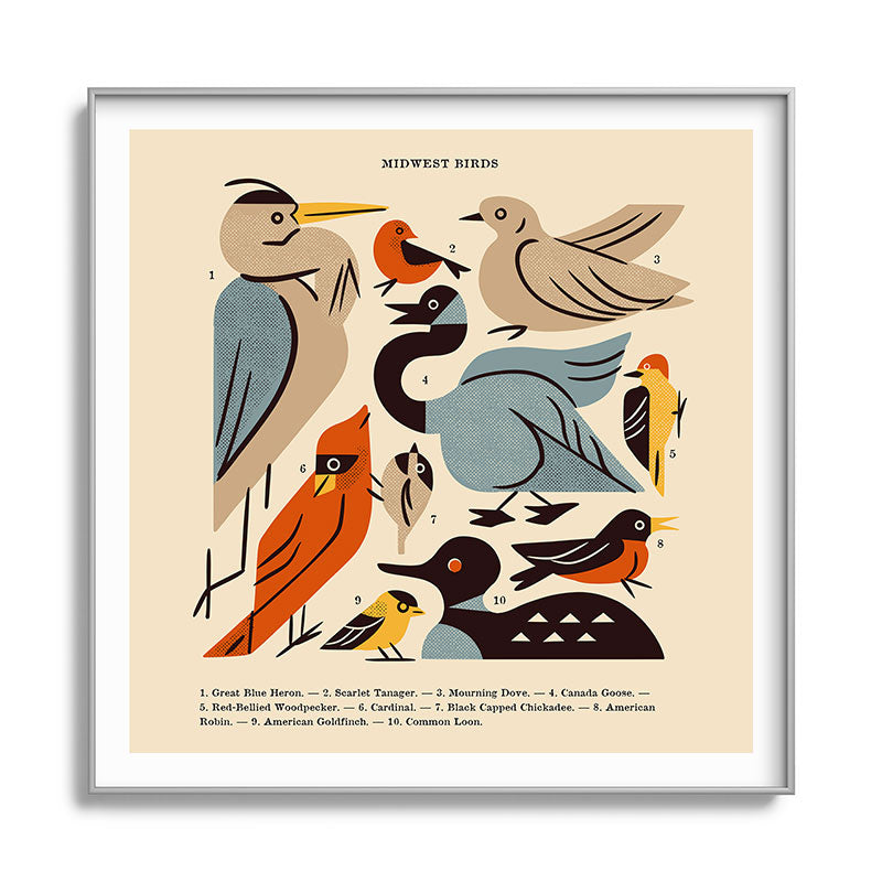 Midwest Birds Guide Framed Art Print Gallery Image 141