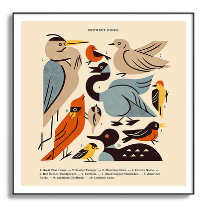 Midwest Birds Guide Framed Art Print Gallery Image 130