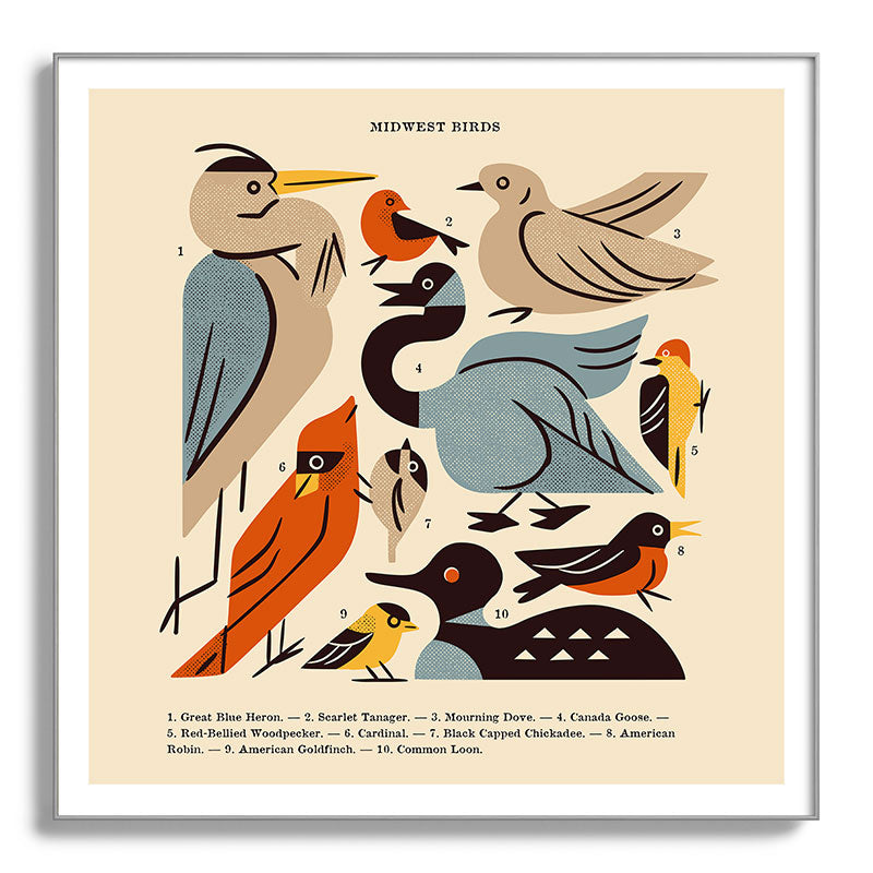 Midwest Birds Guide Framed Art Print Gallery Image 142