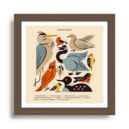 Midwest Birds Guide Framed Art Print Gallery Image 13