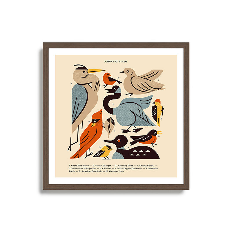 Midwest Birds Guide Framed Art Print Gallery Image 17