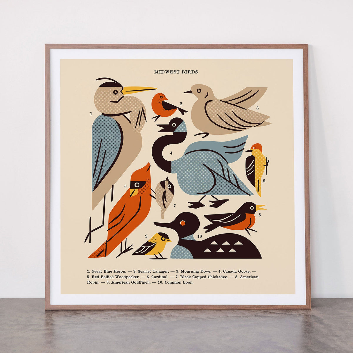 Midwest Birds Guide Framed Art Print Gallery Image 21