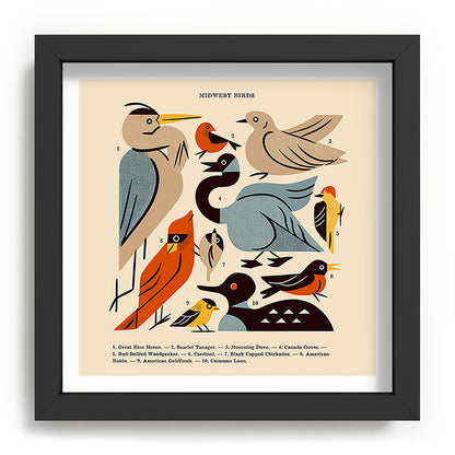 Midwest Birds Guide Framed Art Print Gallery Image 90