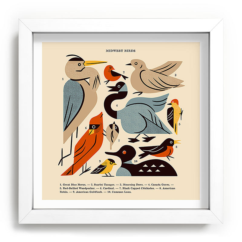 Midwest Birds Guide Framed Art Print Gallery Image 114