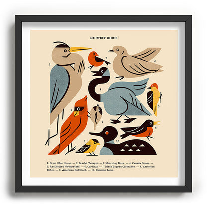 Midwest Birds Guide Framed Art Print Gallery Image 93