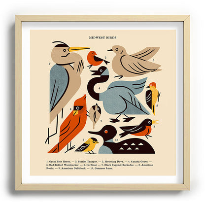 Midwest Birds Guide Framed Art Print Gallery Image 109