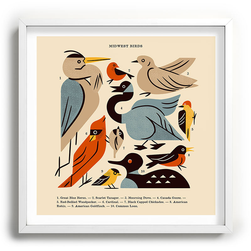 Midwest Birds Guide Framed Art Print Gallery Image 118